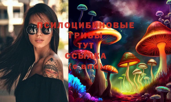 эйфоретик Михайловск