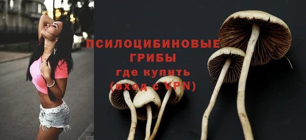 гашишное масло Михайловка