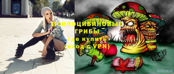 эйфоретик Михайловск